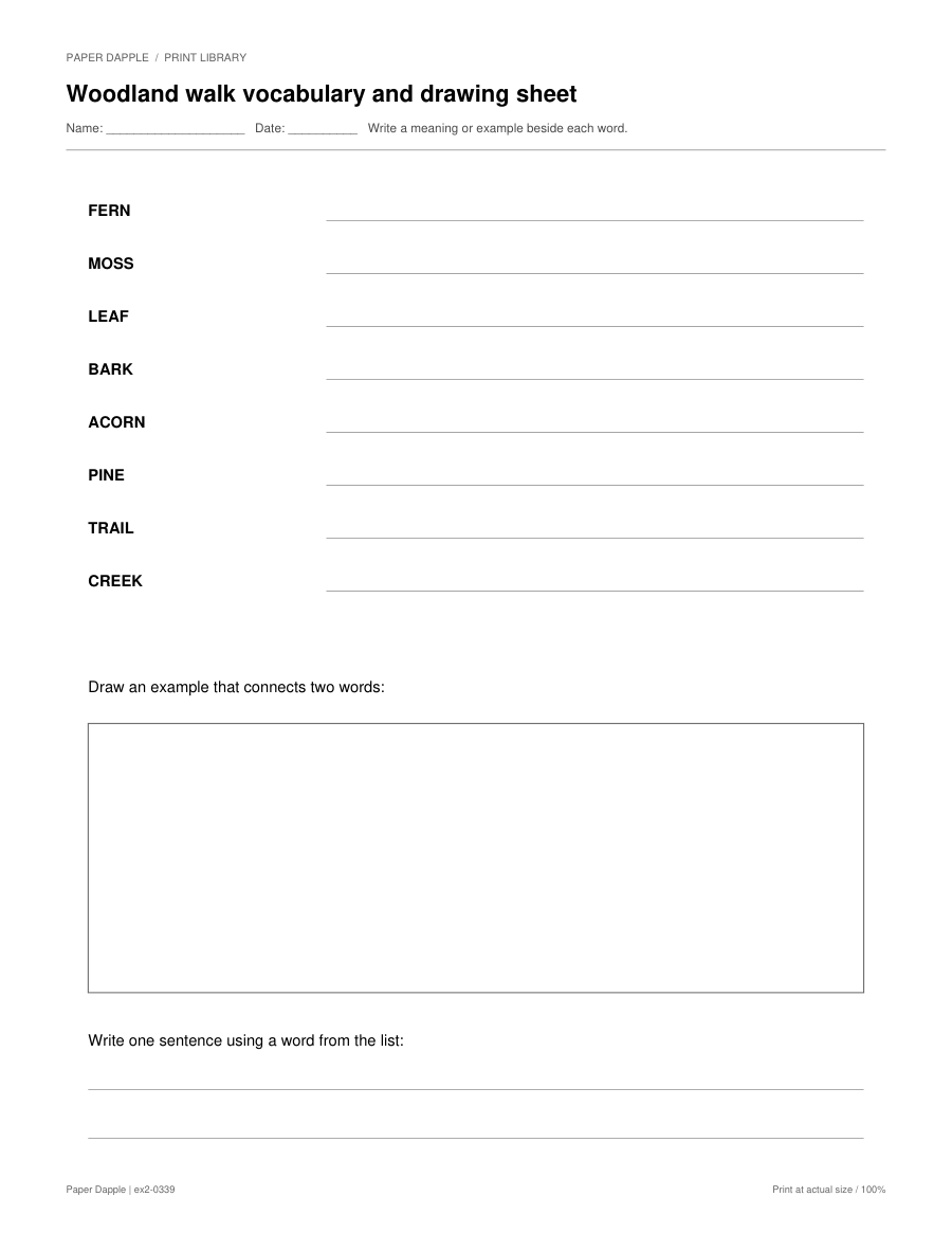 Preview of Woodland walk vocabulary and drawing sheet