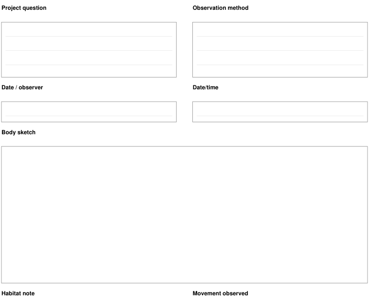 Preview of Insect observation - observation record