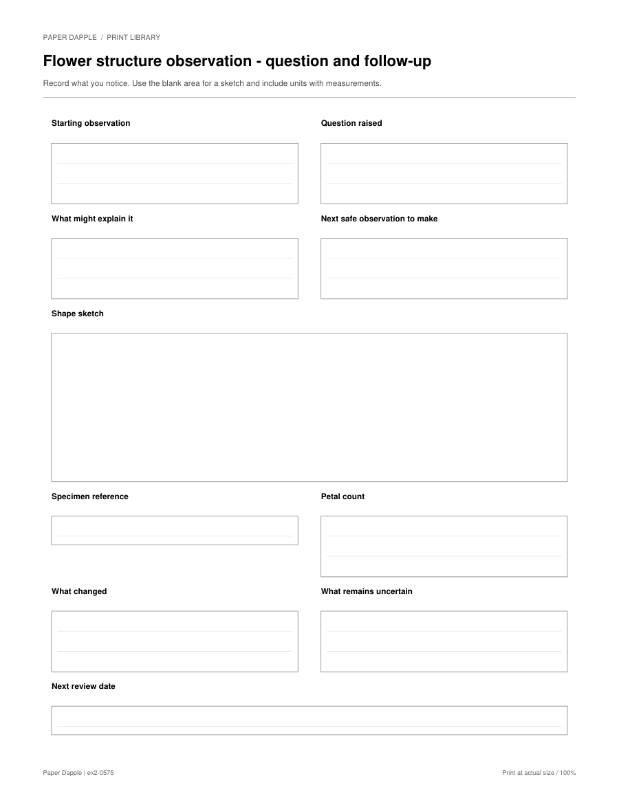 Preview of Flower structure observation - question and follow-up