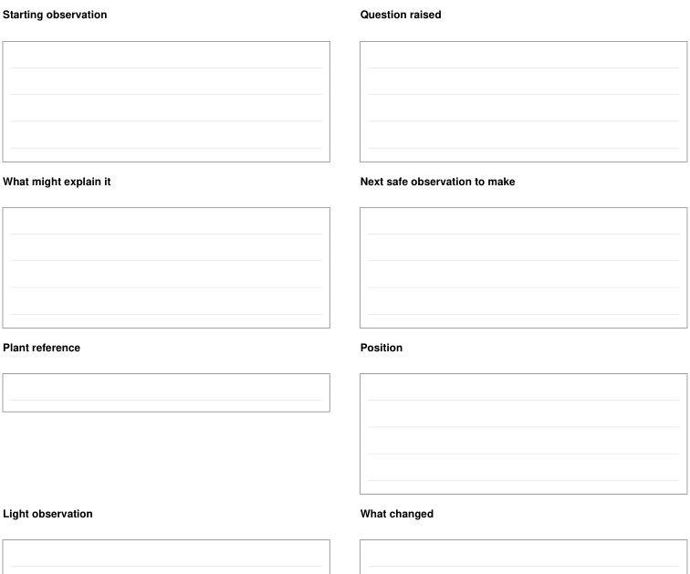 Preview of Sunlight-and-plant observation - question and follow-up