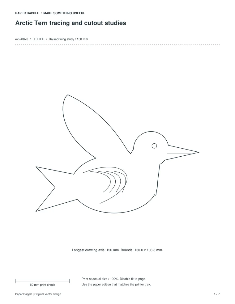 Preview of Arctic Tern tracing and cutout studies