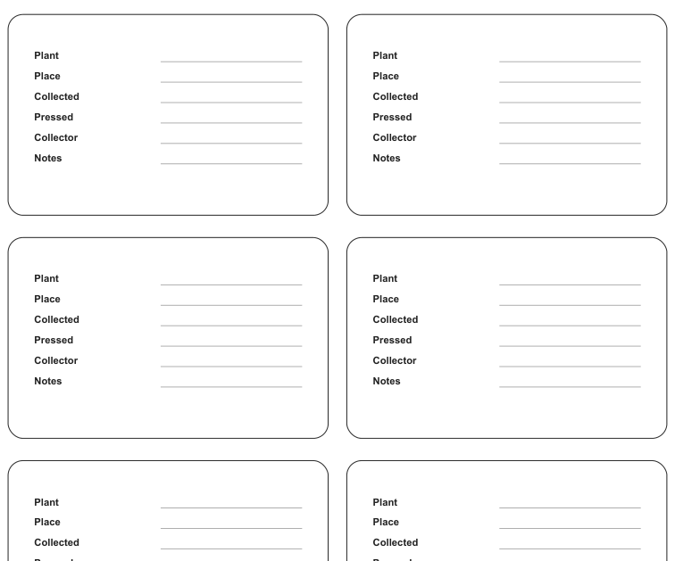 Preview of Pressed flower specimen labels